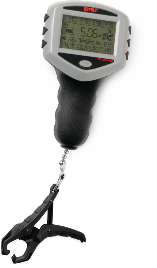 25kg touch screen scale