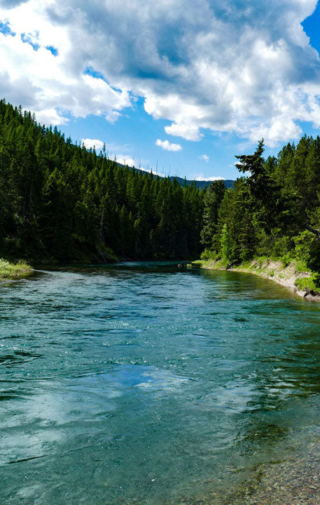 La tua passione per la pesca inizia qui